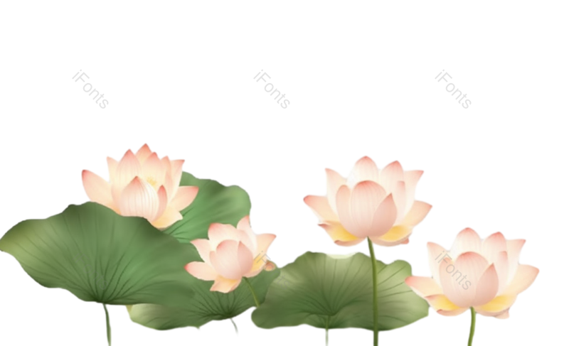 叶子图片,节日元素,元素PNG,清新免抠素材